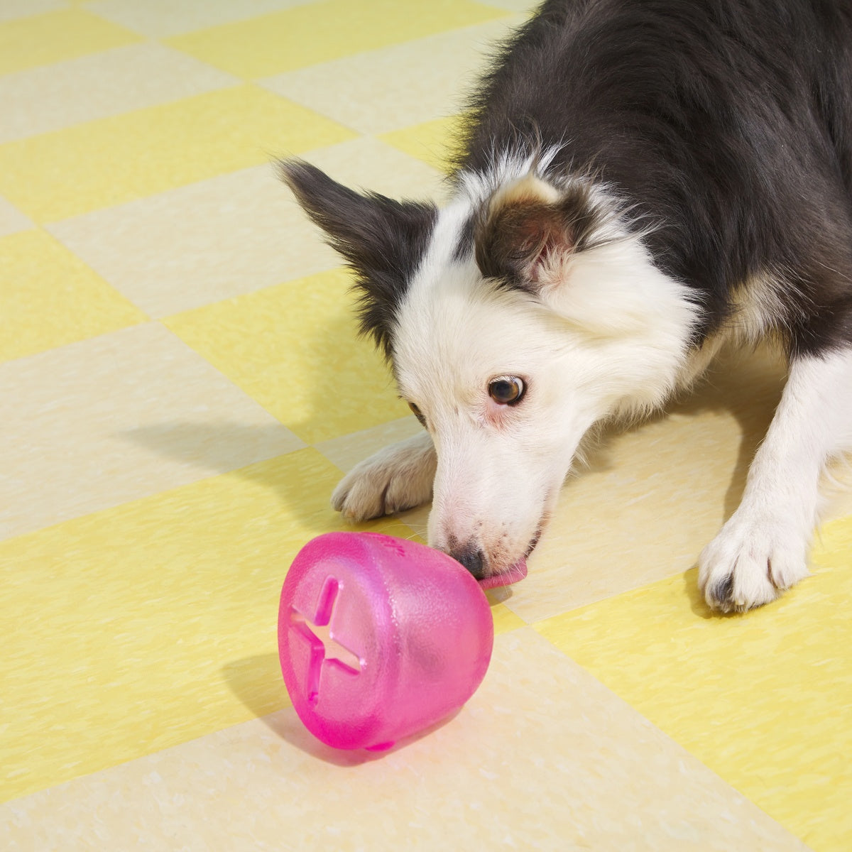 Treats n' Sweets Gumdrop Super Chewer Durable Enrichment Dog Toy
