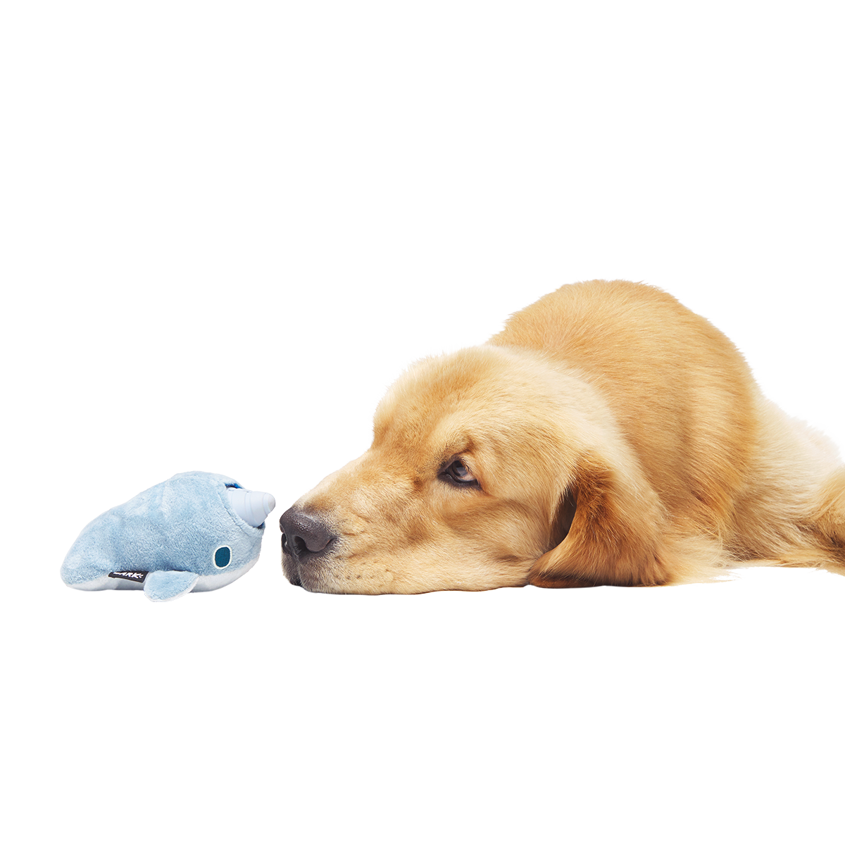 Gnaw Whal Super Chewer Durable 2-in-1 + Enrichment Dog Toy