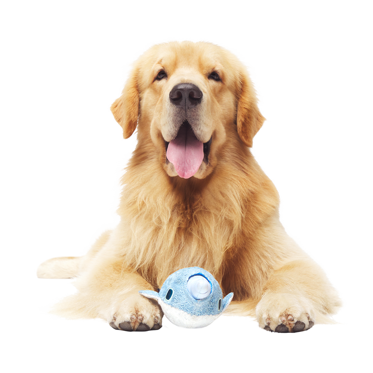 Gnaw Whal Super Chewer Durable 2-in-1 + Enrichment Dog Toy