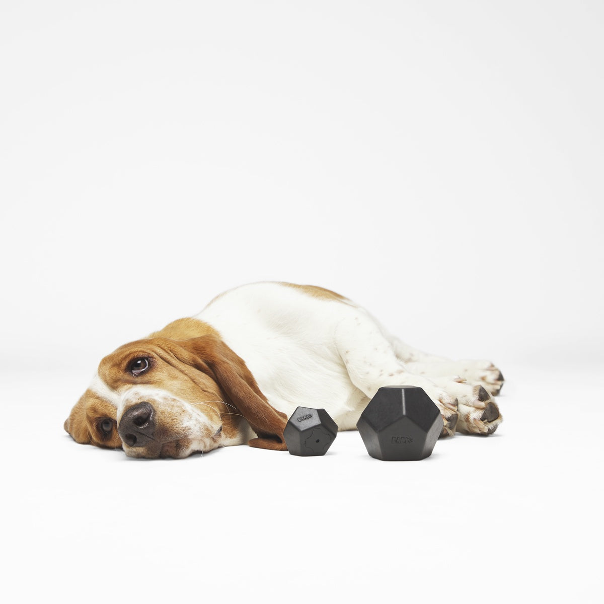 Cool Cool Coal Super Chewer Durable Gnaw Dog Toy – BARK