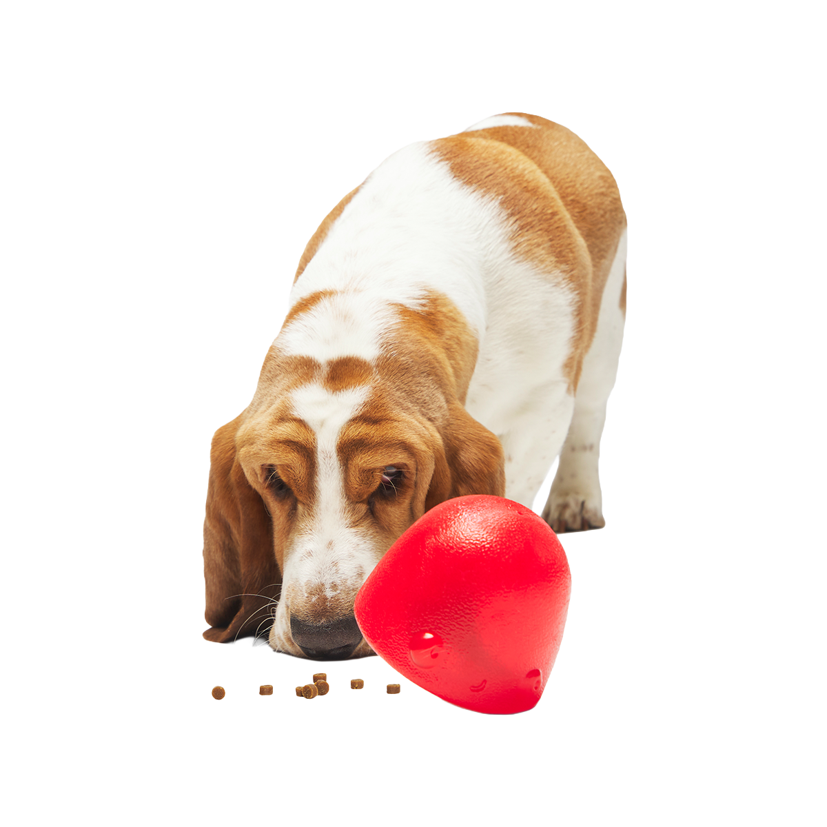 Goody Goody Gumdrops Super Chewer Durable Multi-Part + Enrichment Dog Toy