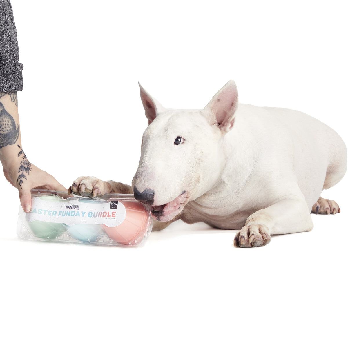 Easter Funday Bundle Super Chewer Durable Multi-Part Dog Toy