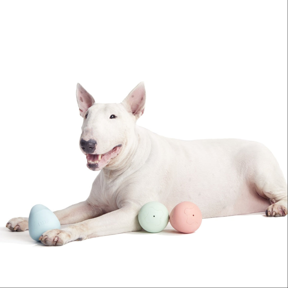 Easter Funday Bundle Super Chewer Durable Multi-Part Dog Toy