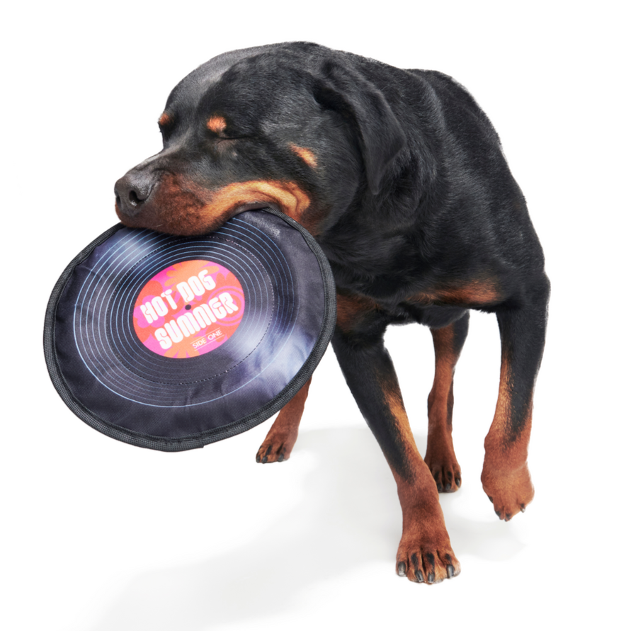 Disco Doggo Disc