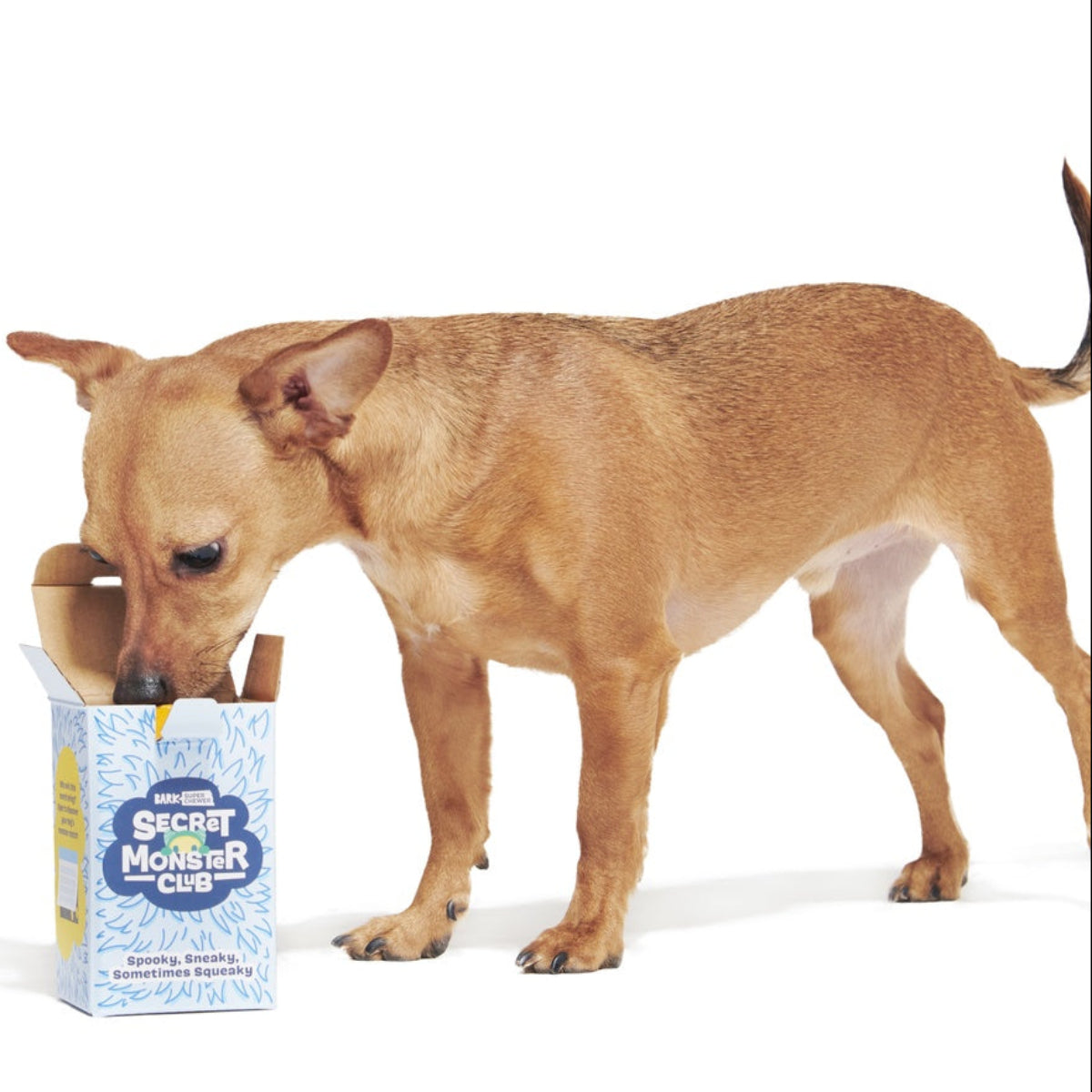 Secret Monster Club, Super Chewer Durable 2-in-1 Rip and Reveal Monthly Dog Toys