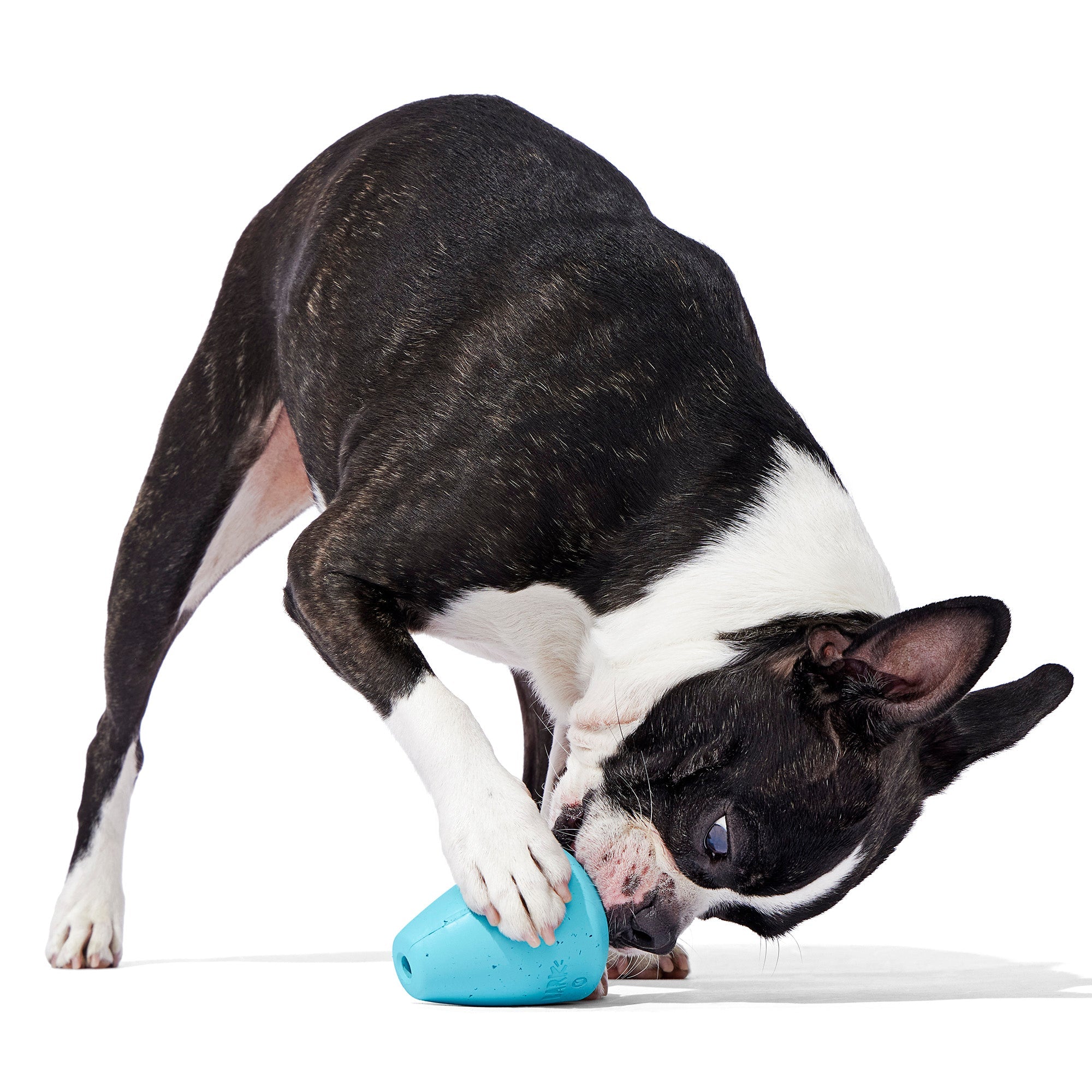 Titan Puzzle Super Chewer Durable Enrichment Dog Toy