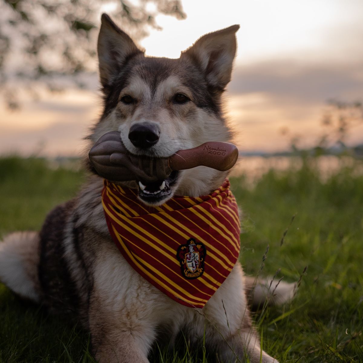 Super Chewer Nimbus 2000™