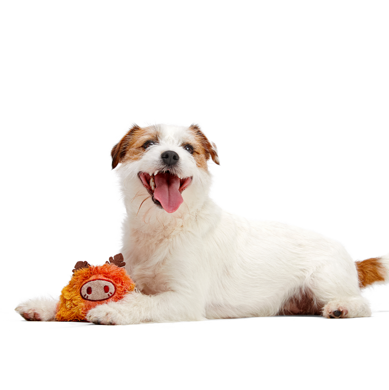 Lerf - Secret Monster Club