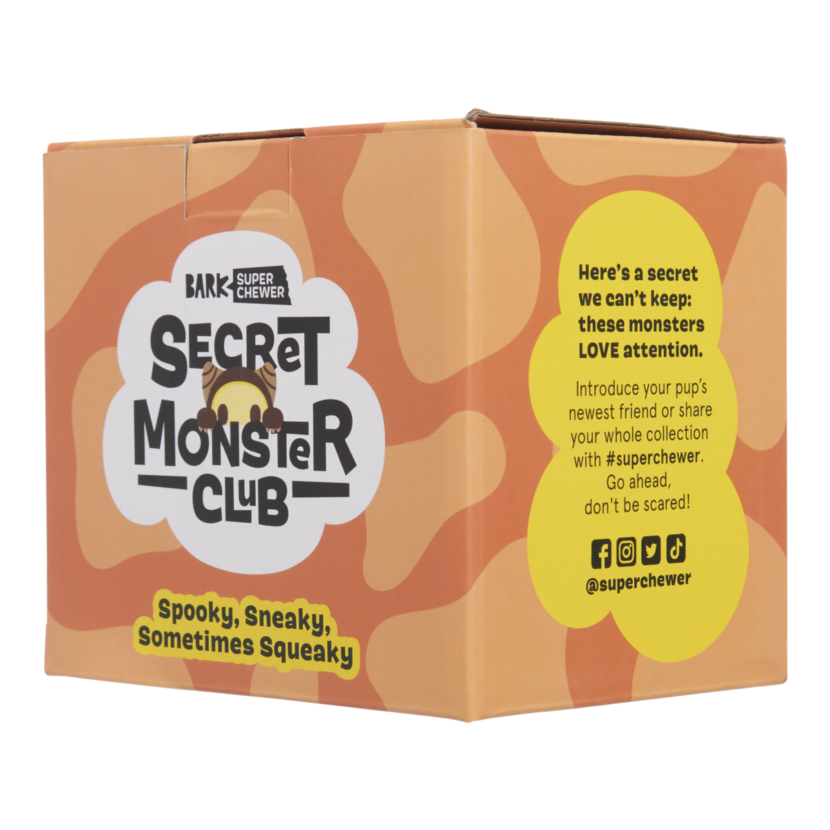 Secret Monster Club