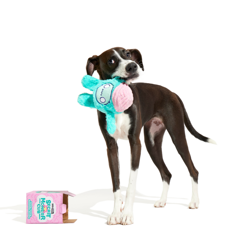 Lobu - Secret Monster Club