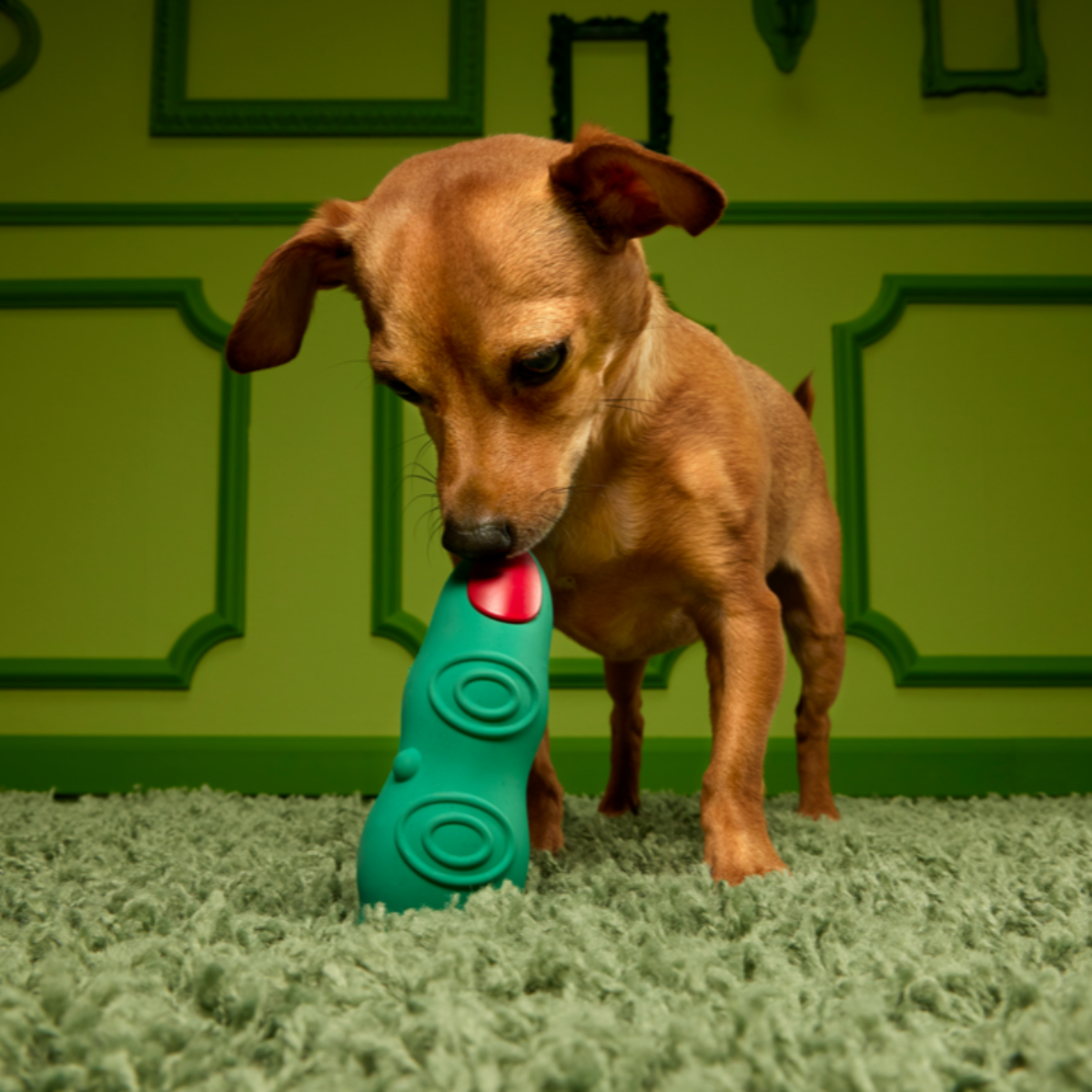 Ghoulfinger Super Chewer Durable Enrichment Dog Toy