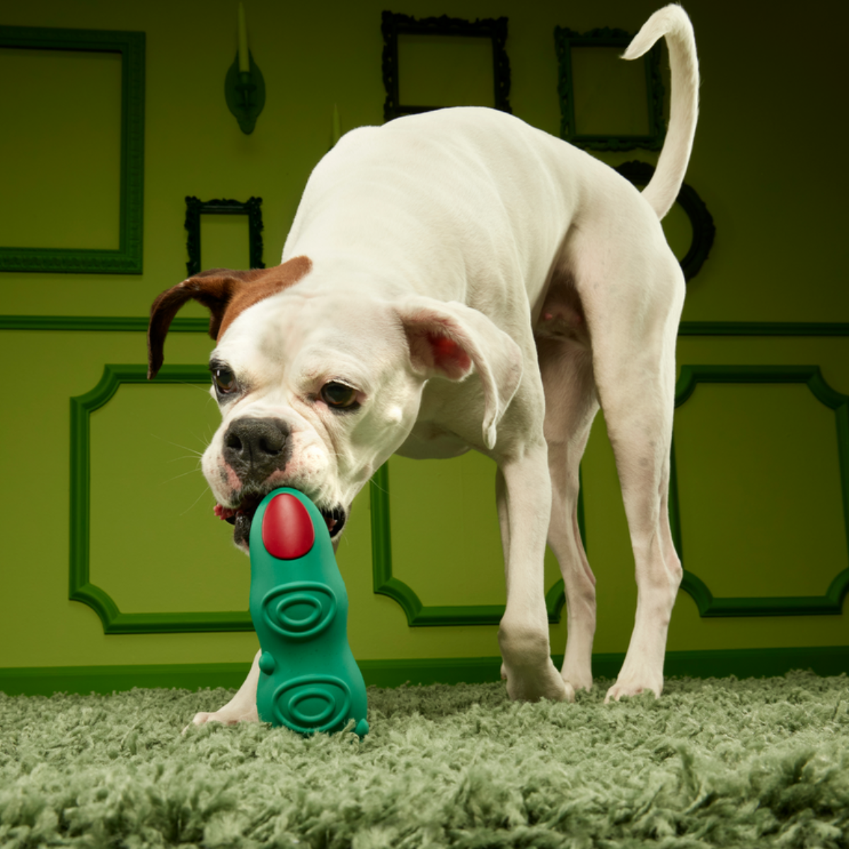 Ghoulfinger Super Chewer Durable Enrichment Dog Toy