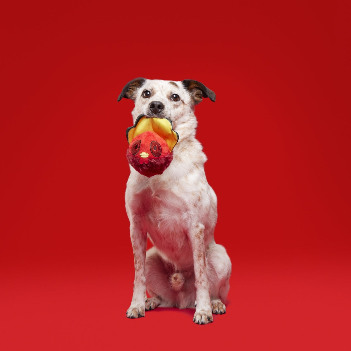 Tough Stuffed Turducken