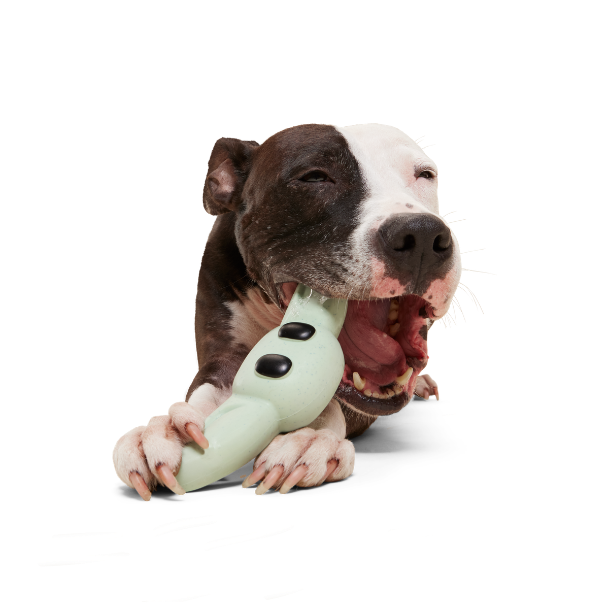 Chew and Chase Grogu™ Super Chewer Durable Gnaw Dog Toy