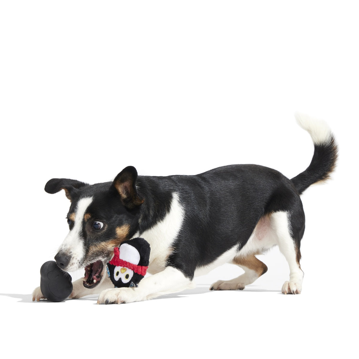 SC-ATB_213520_FRIENDGUIN-S_1844_cropped#Size_S