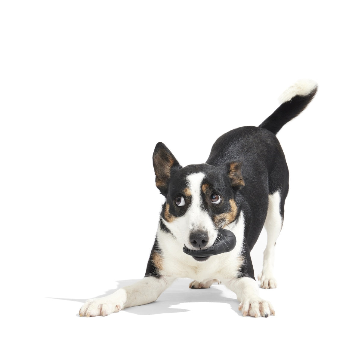 SC-ATB_213520_FRIENDGUIN-S_1898_cropped#Size_S