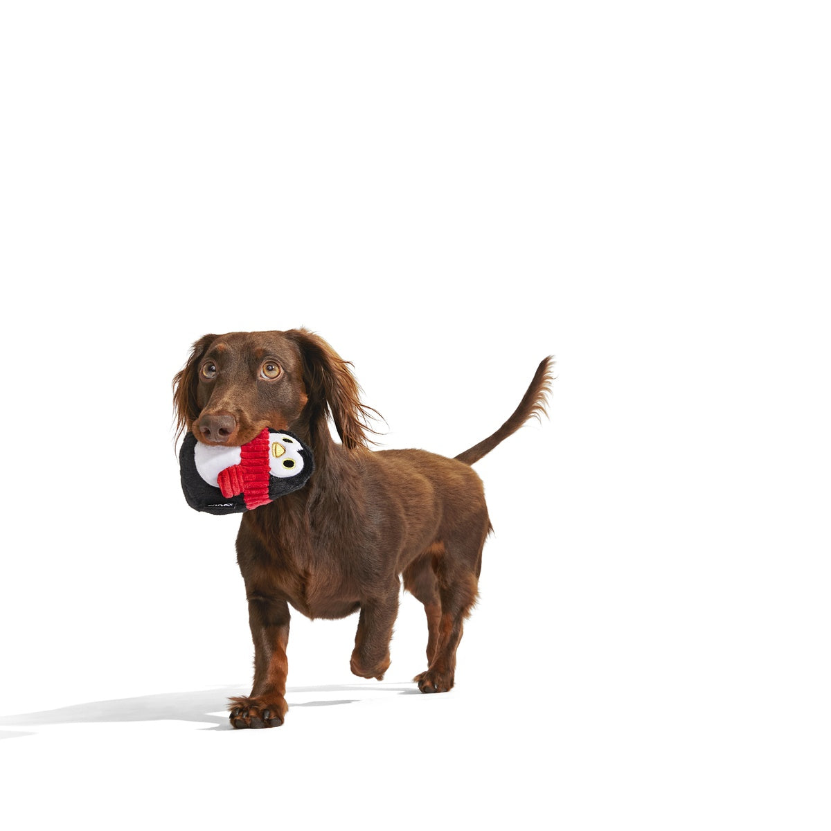 C-ATB_213521_FRIENDGUIN-M_0673_cropped#Size_M