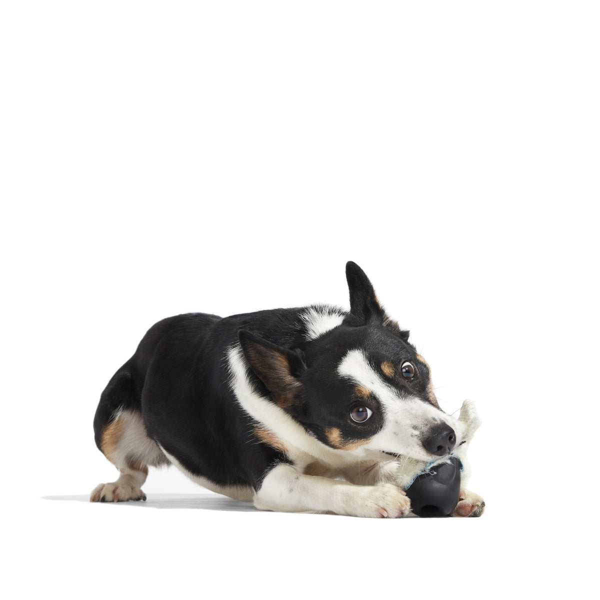 SC-ATB_213523_SEAL-MEAL-S_2051_cropped#Size_S