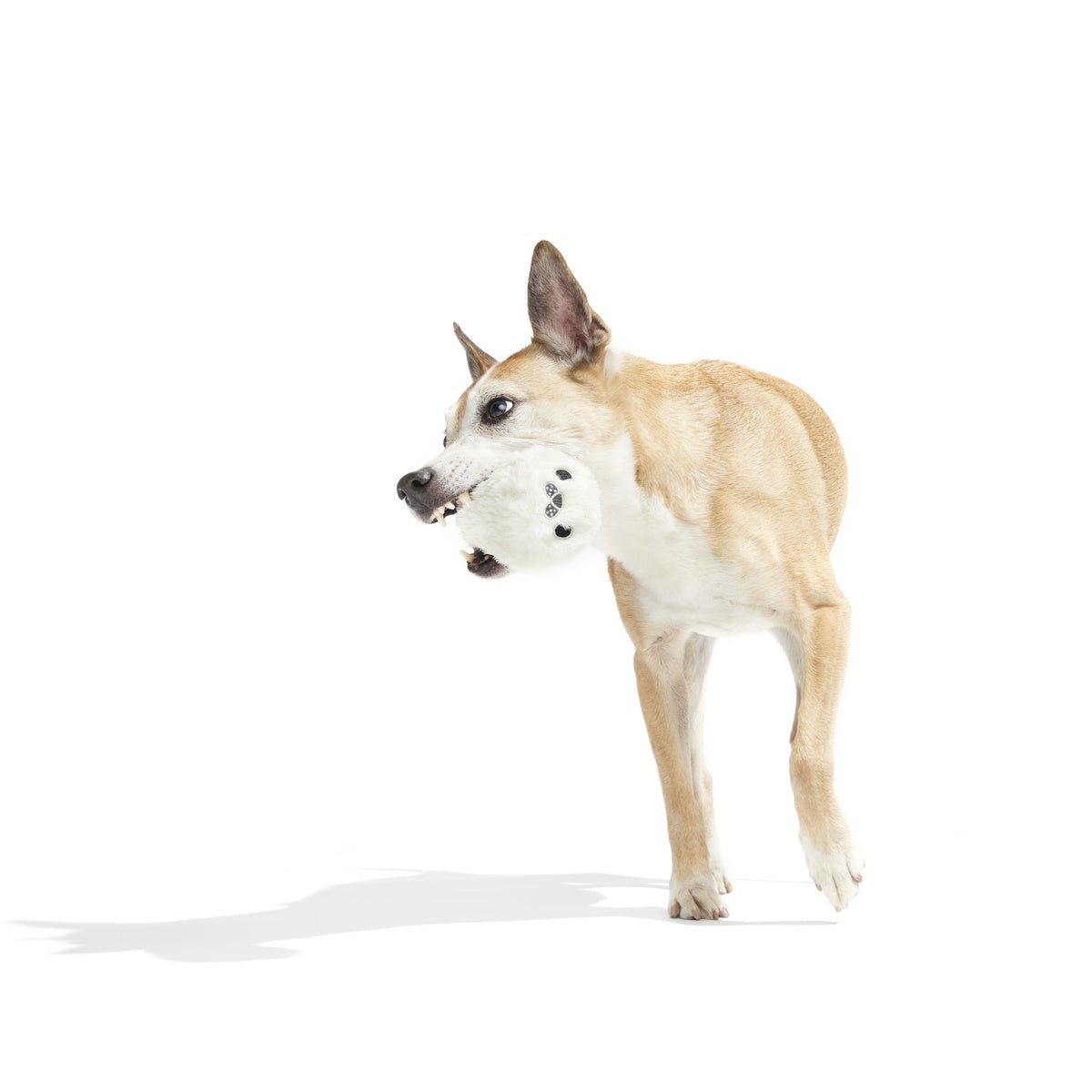 SC-ATB_213524_SEAL-MEAL-M_1013_cropped#Size_L