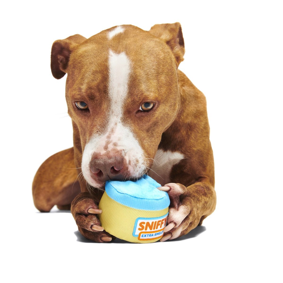 Sniffy Peanut Butter Super Chewer Durable 2-in-1 Enrichment Dog