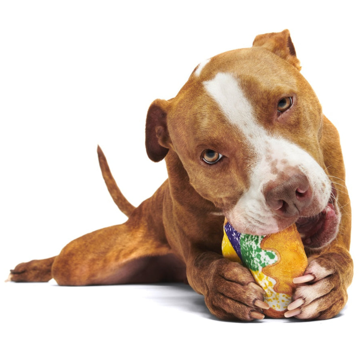 Mardi Paws King Cake Durable Super Chewer 2-in-1 Rip and Reveal + Enrichment Dog Toy