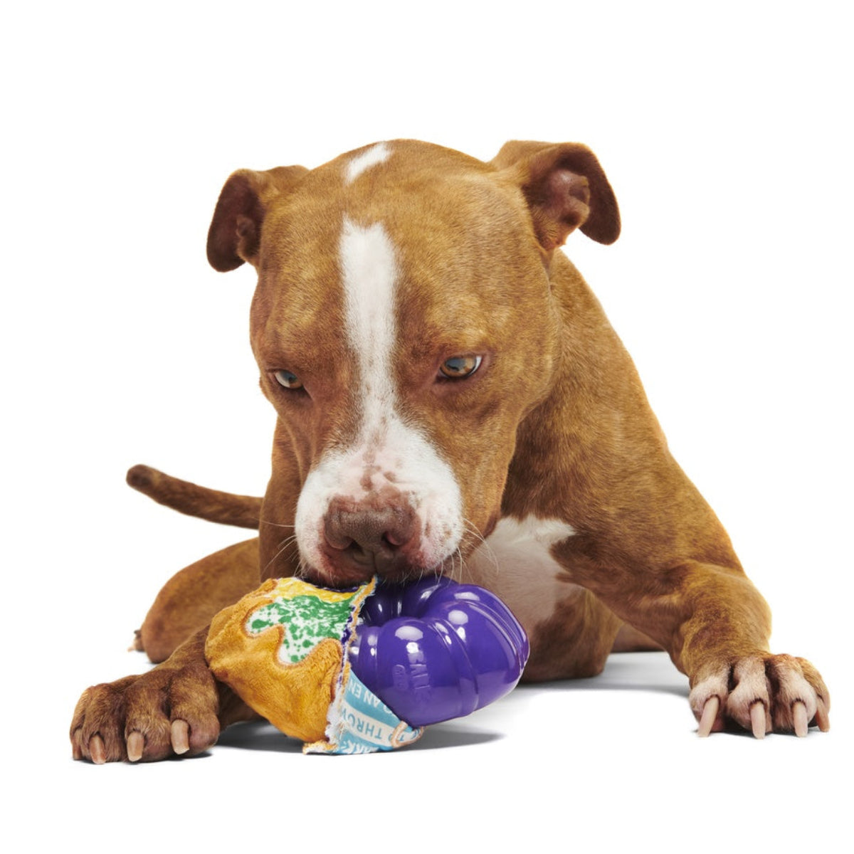 Mardi Paws King Cake Durable Super Chewer 2-in-1 Rip and Reveal + Enrichment Dog Toy