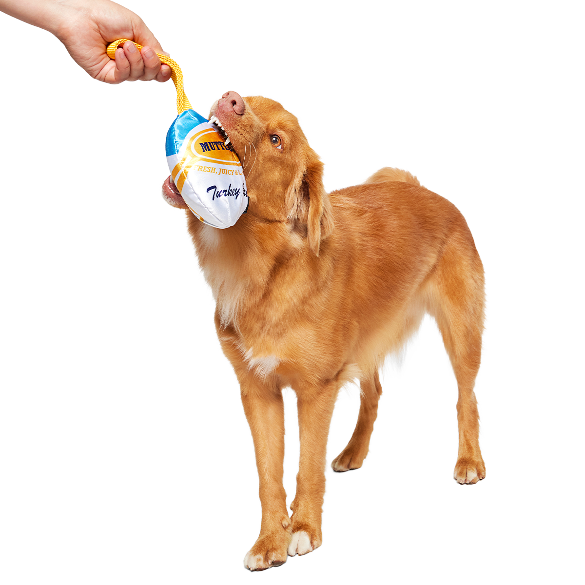 Mutterball Turkey Super Chewer Durable 2-in-1 + Tug + Enrichment Dog Toy
