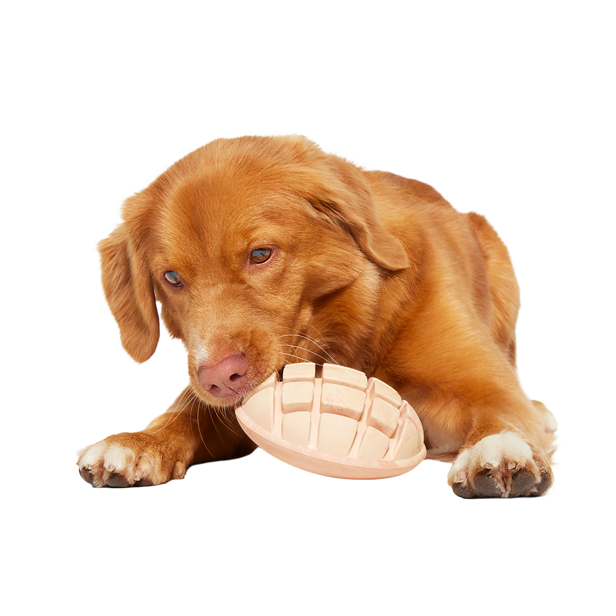 Mutterball Turkey Super Chewer Durable 2-in-1 + Tug + Enrichment Dog Toy