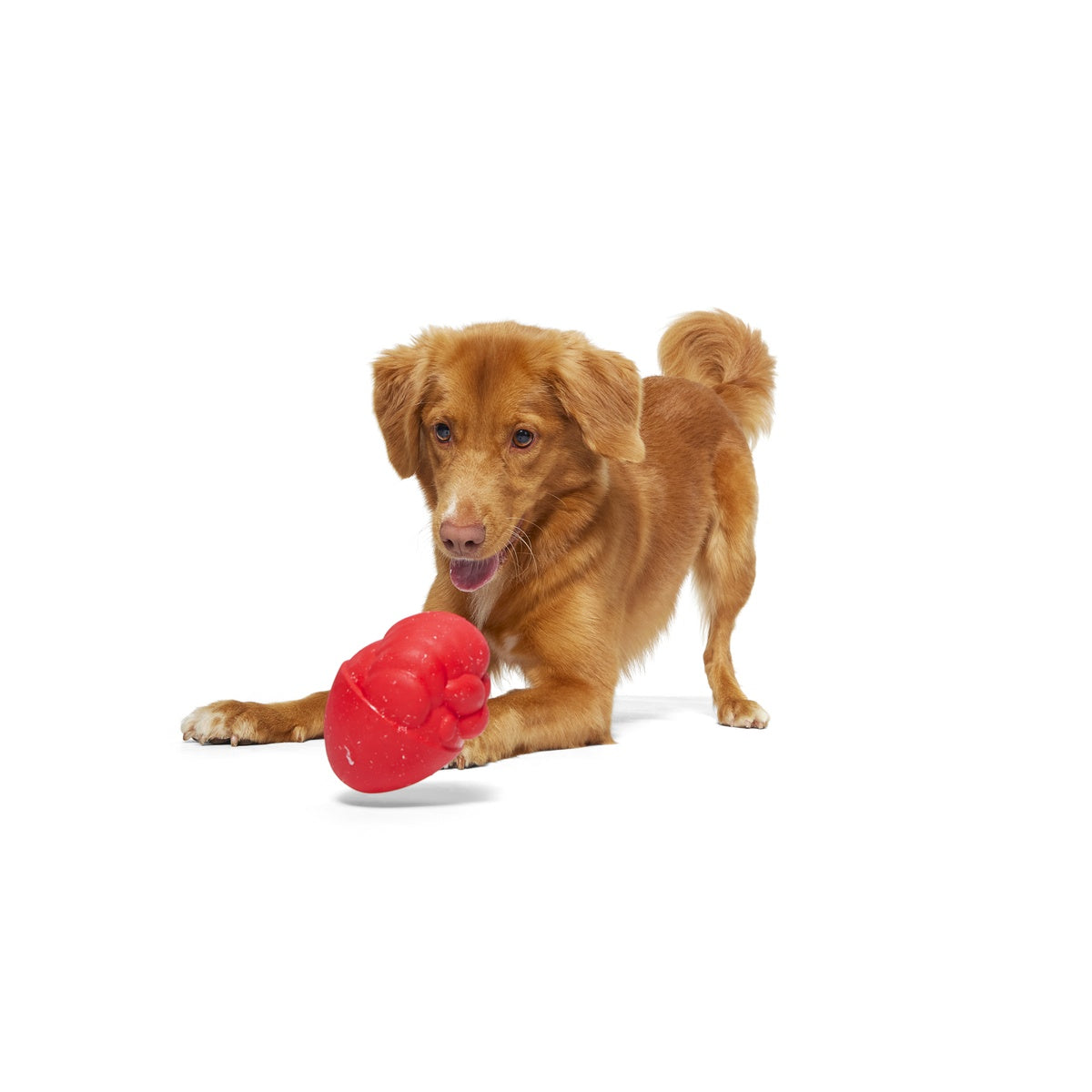 Secret Santa Durable Super Chewer 2-in-1 Rip and Reveal Dog Toy – BARK