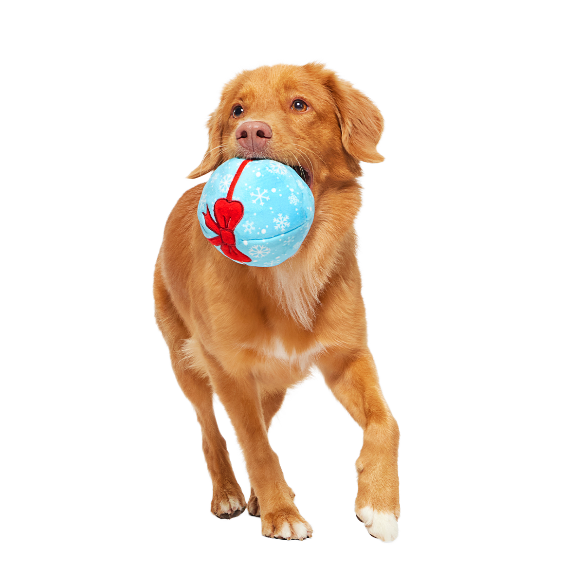 Wripping Pupper Ball Super Chewer Durable 2-in-1 + Fetch Dog Toy