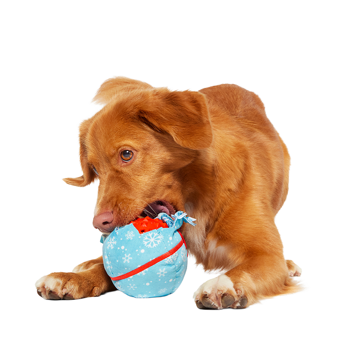 Wripping Pupper Ball Super Chewer Durable 2-in-1 + Fetch Dog Toy