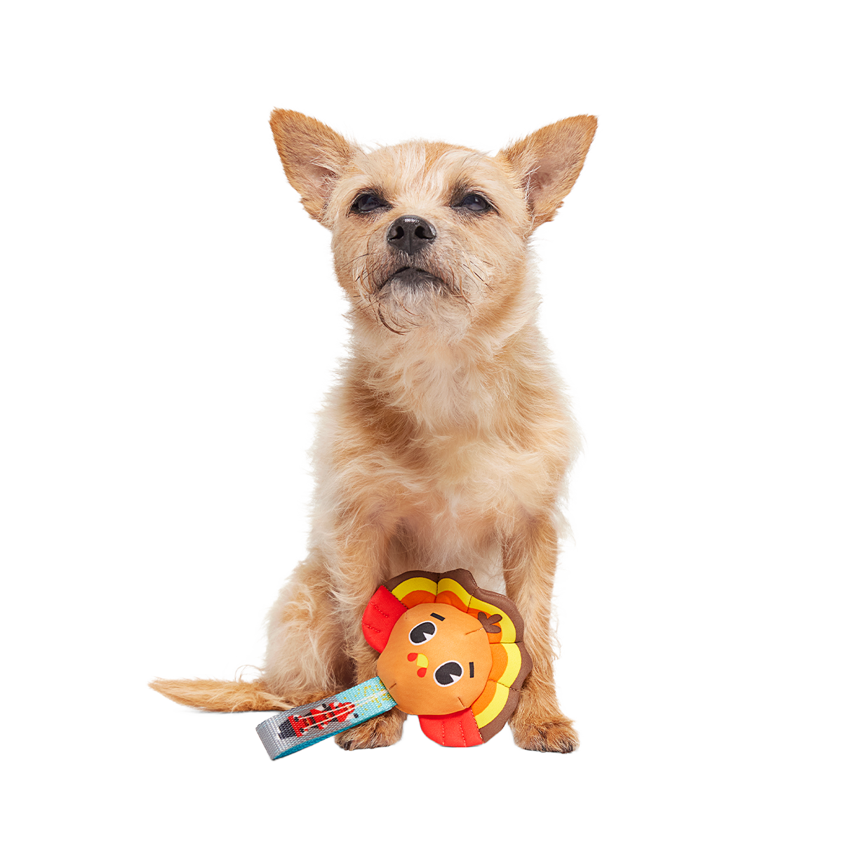 Turkey Tug Parade Super Chewer Durable 2-in-1 Dog Toy