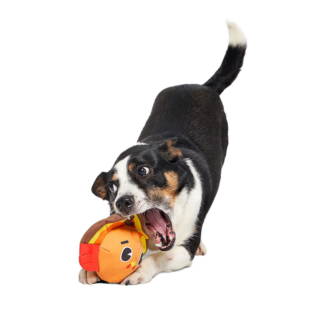 Turkey Tug Parade Super Chewer Durable 2-in-1 Dog Toy