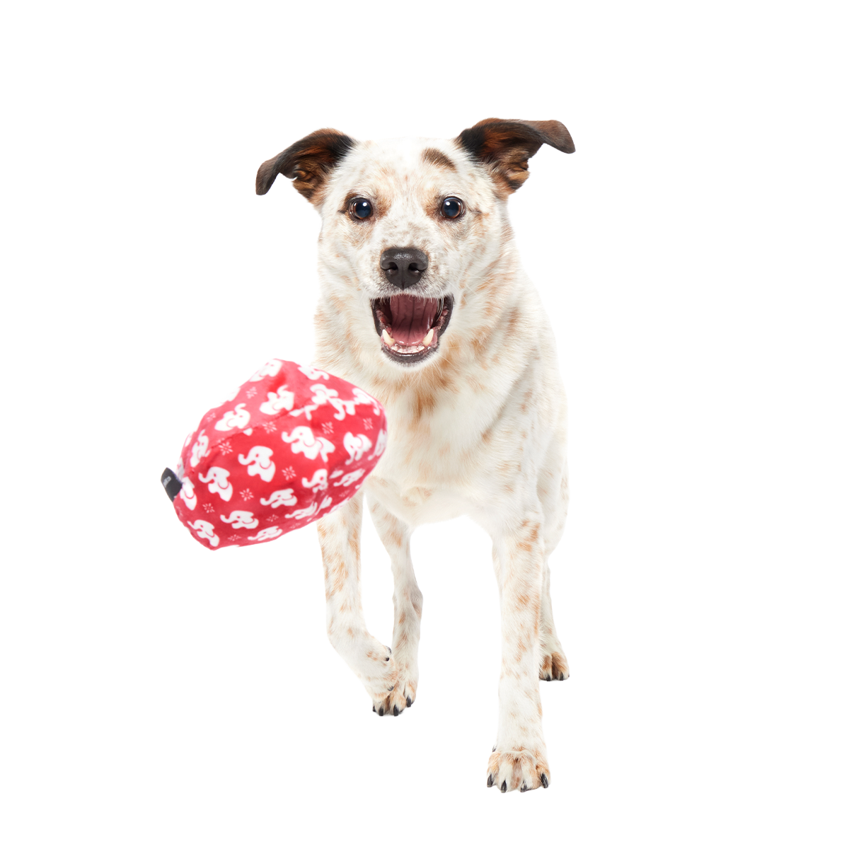 White Smellephant Super Chewer Durable 2-in-1 Dog Toy