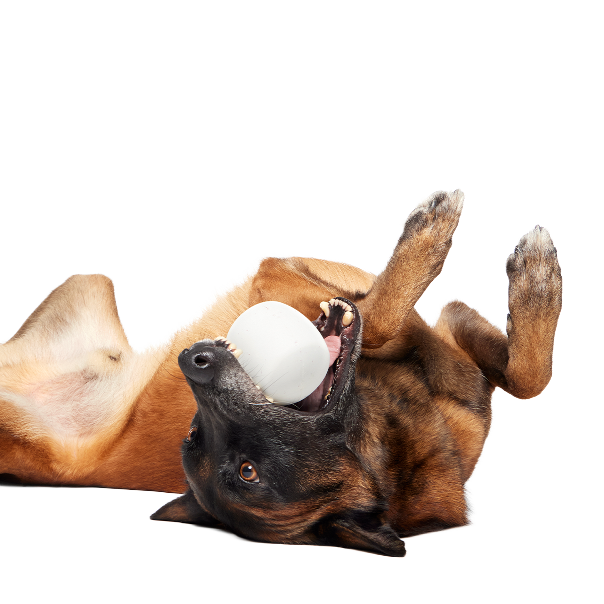 Hot Cocoa Bundle Super Chewer Durable Enrichment Dog Toy