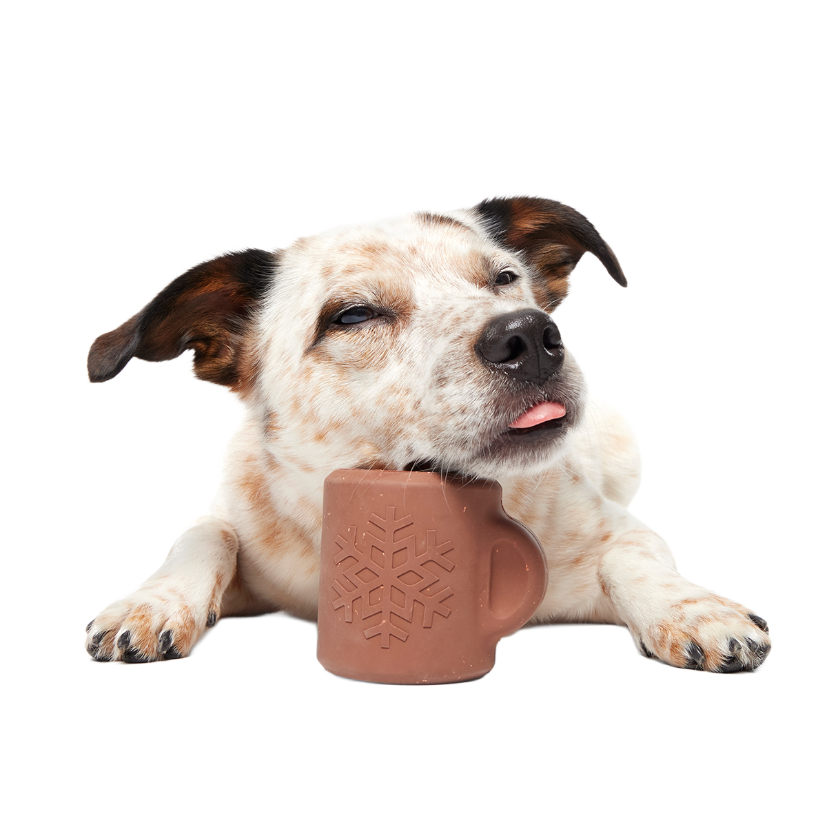 Hot Cocoa Bundle Super Chewer Durable Enrichment Dog Toy