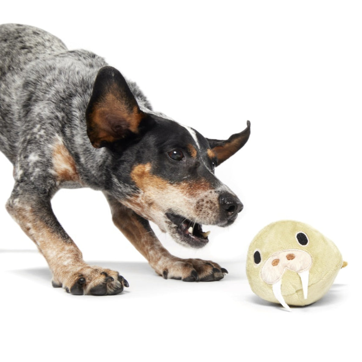 SC-ATB_215212_FULL-BELLY-WALLY-L_1971_FINN-TIKI_cropped#Size_L