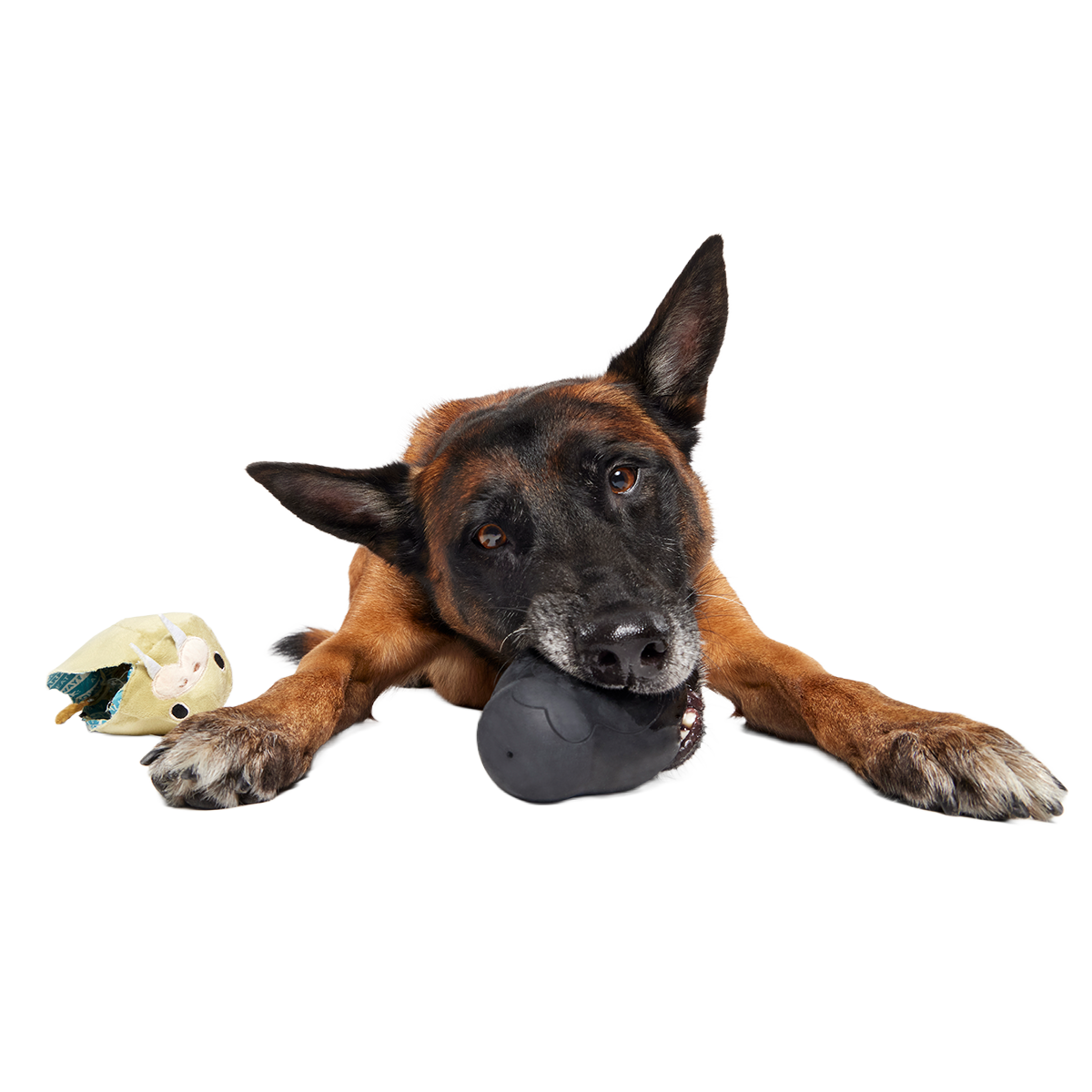 Full Belly Wally Super Chewer Durable 2-in-1 Dog Toy