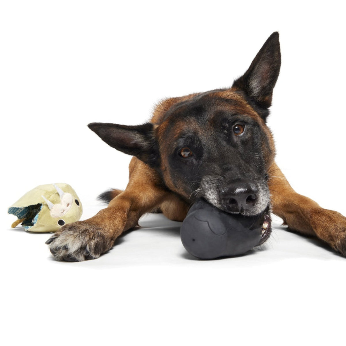 SC-ATB_215212_FULL-BELLY-WALLY-L_2072_FINN_cropped#Size_L