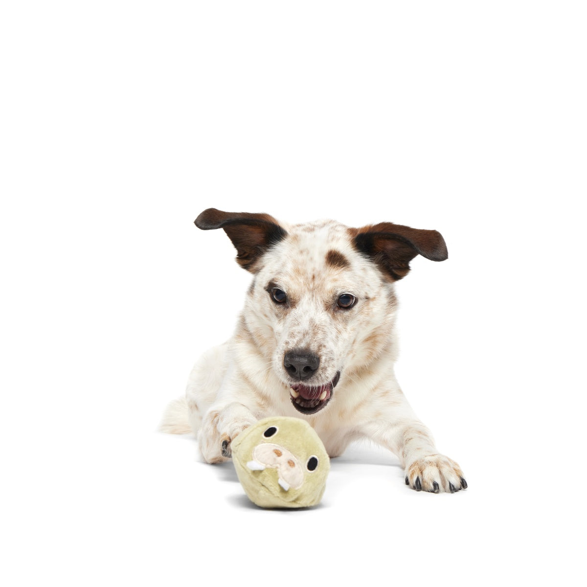 SC-ATB_215213_FULL-BELLY-WALLY-M_1101_RED_cropped_f8ddb46c-947c-464e-85a5-d10f8d48f789#Size_M