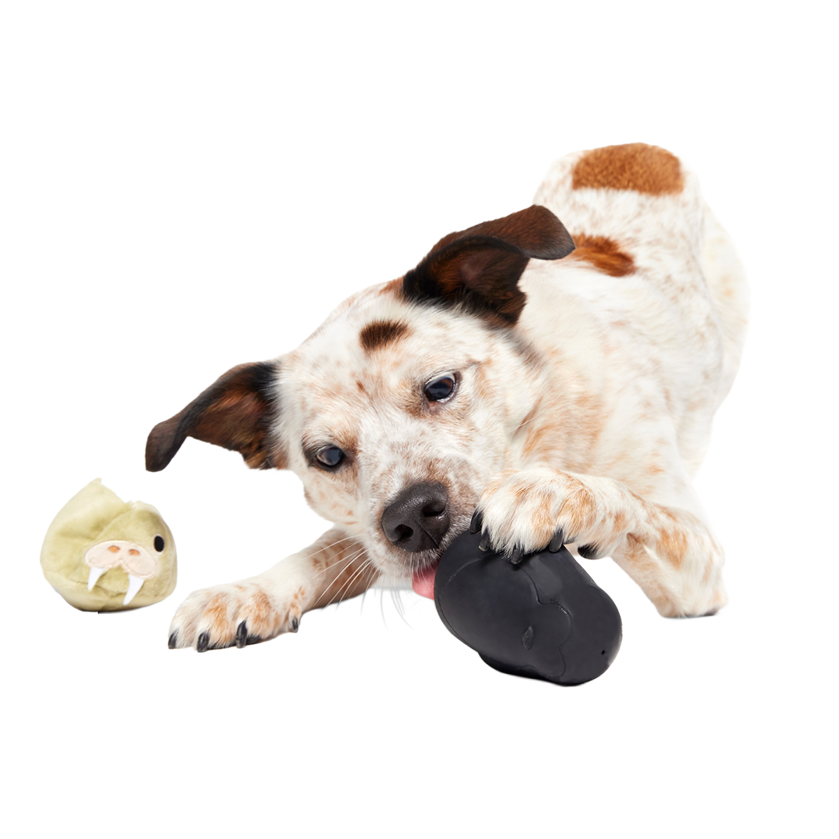 Full Belly Wally Super Chewer Durable 2-in-1 Dog Toy