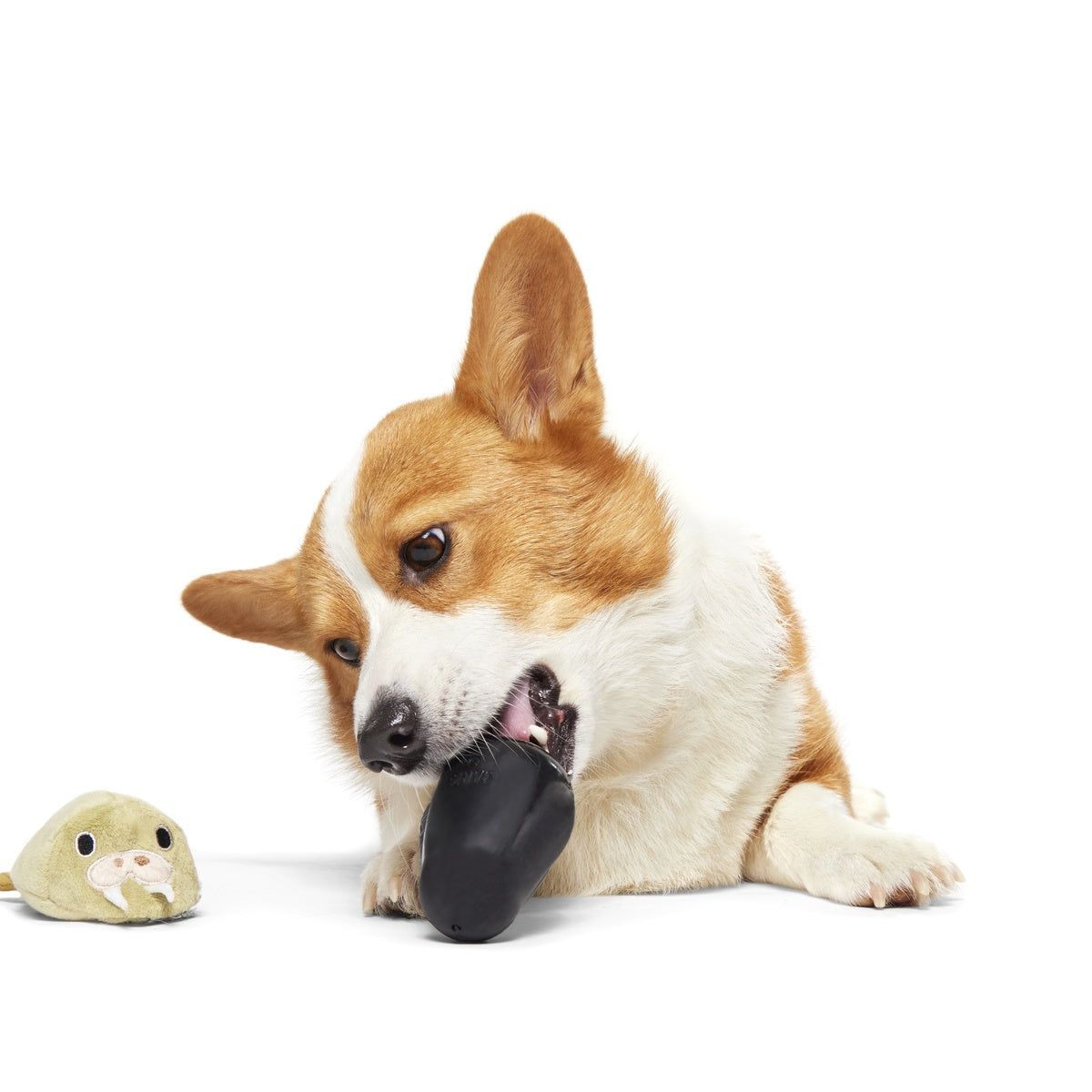 Full Belly Wally Super Chewer Durable 2-in-1 Dog Toy – BARK
