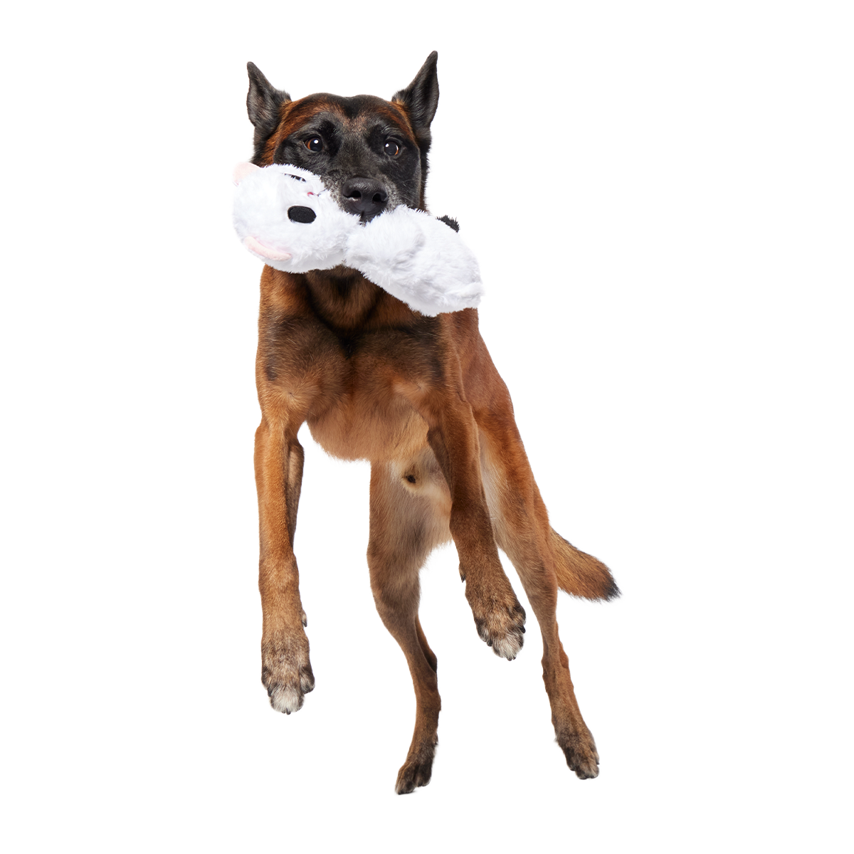 Barktic Weasel Super Chewer Durable 2-in-1 + Tug Dog Toy