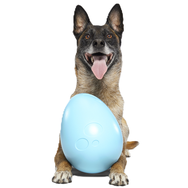 SC-ATB_215552_EGGSTRA-LARGE- SC-ATB_215552_EGGSTRA-LARGE-