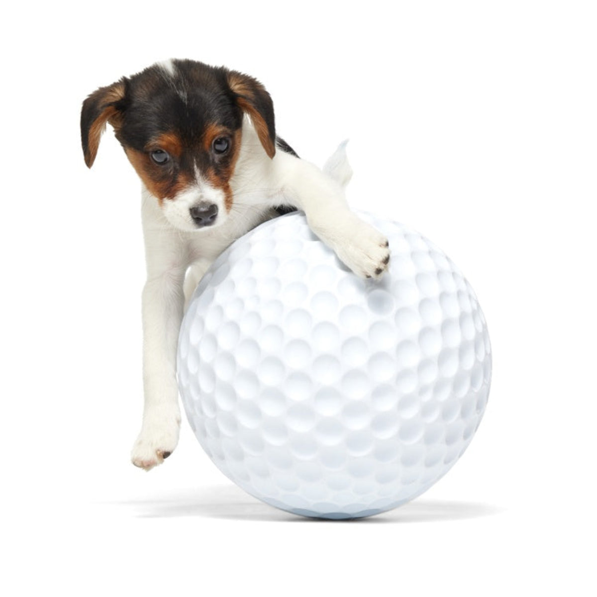 Big Swing Golf Ball Durable Super Chewer Fetch + Extra-Large Dog Toy