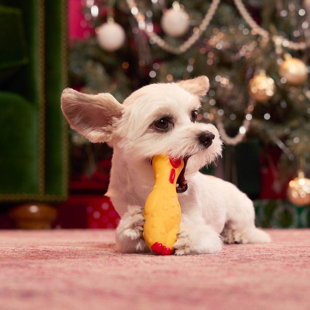 Fozziwig Factory Prop Chicken Durable Super Chewer Gnaw Dog Toy – BARK