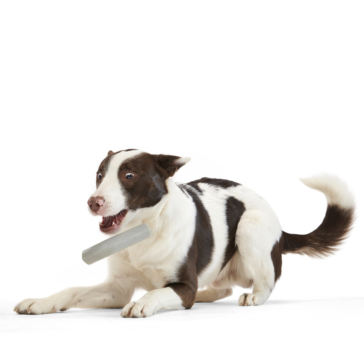 Growlin' Wrench Super Chewer Durable Gnaw Dog Toy