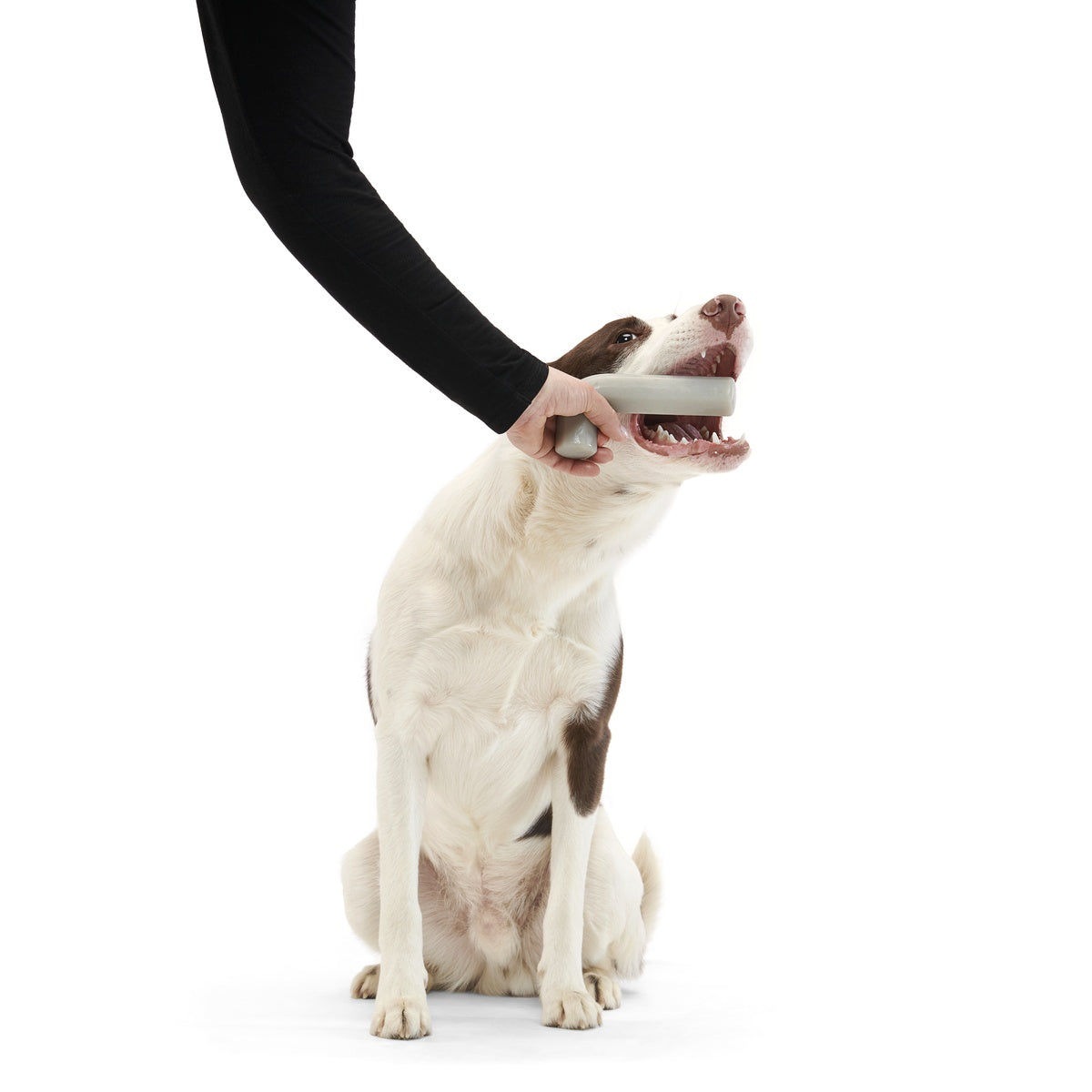 Growlin' Wrench Super Chewer Durable Gnaw Dog Toy