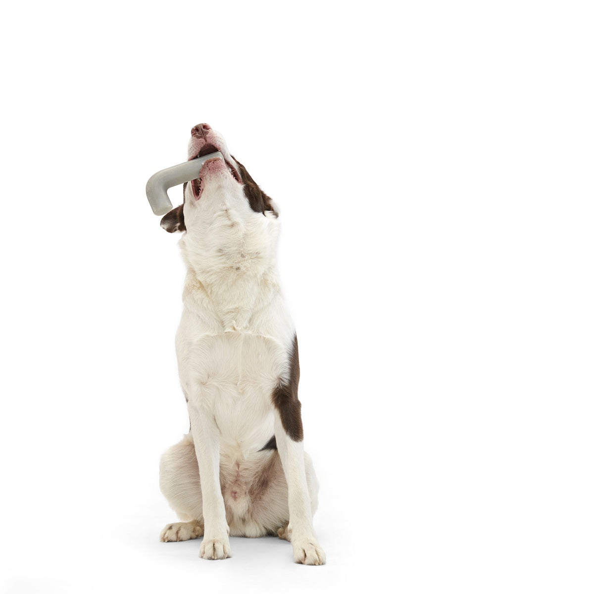 Growlin' Wrench Super Chewer Durable Gnaw Dog Toy