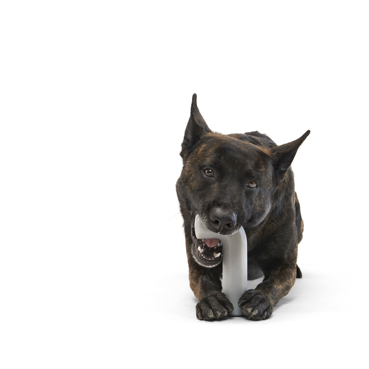 Growlin' Wrench Super Chewer Durable Gnaw Dog Toy